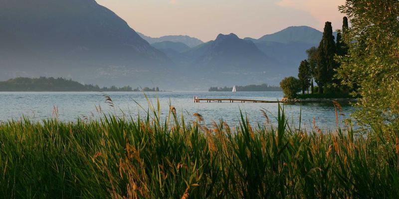 中国书画鉴赏入门：掌握书法与国画真伪辨别的核心要诀