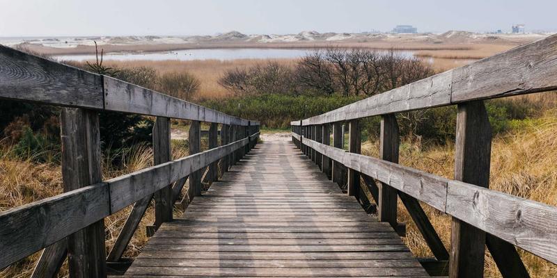 中国画、水墨画与书法收藏：不可不知的艺术品保险与专业仓储风险管理指南