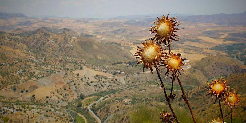 书画10：数字时代下的传统艺术与艺术品交易新趋势