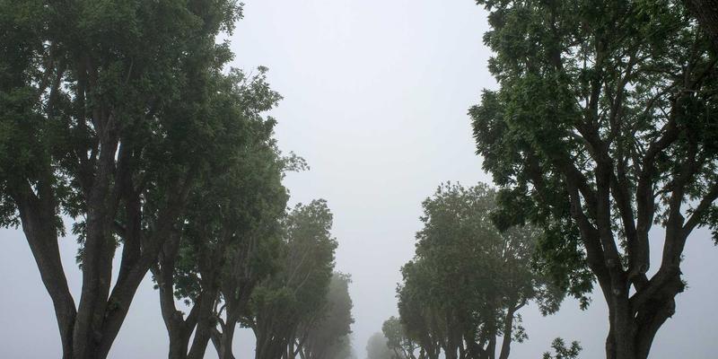 书画22：水墨丹青中的中国画艺术与鉴赏指南