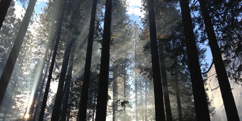 书画23：探索书法与水墨画的当代价值与艺术品交易新趋势