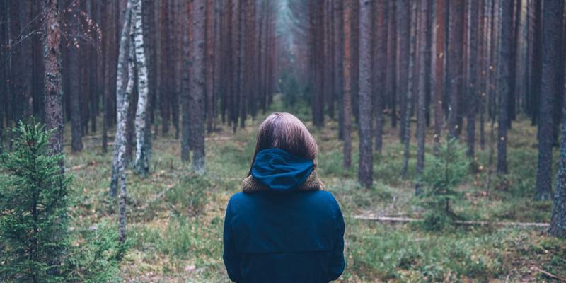 书画26：水墨画在当代艺术展览中的传承与新生