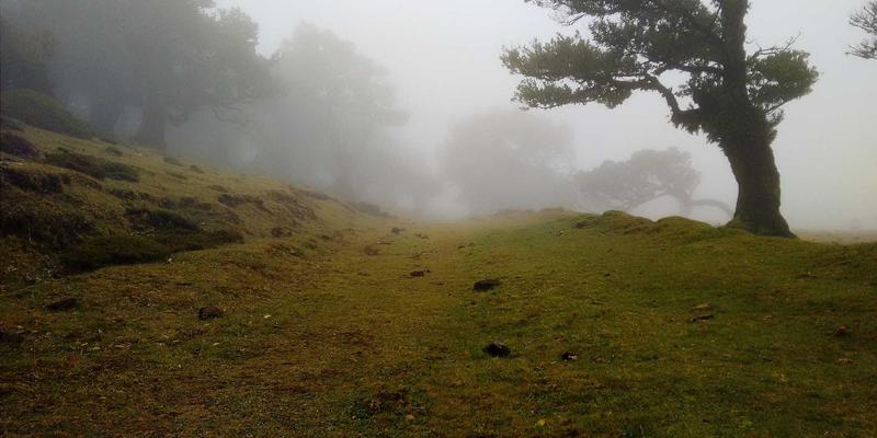 书画44：艺术展览中的中国画与水墨画之美