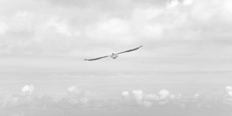 书画48：水墨丹青的收藏智慧与东方美学传承