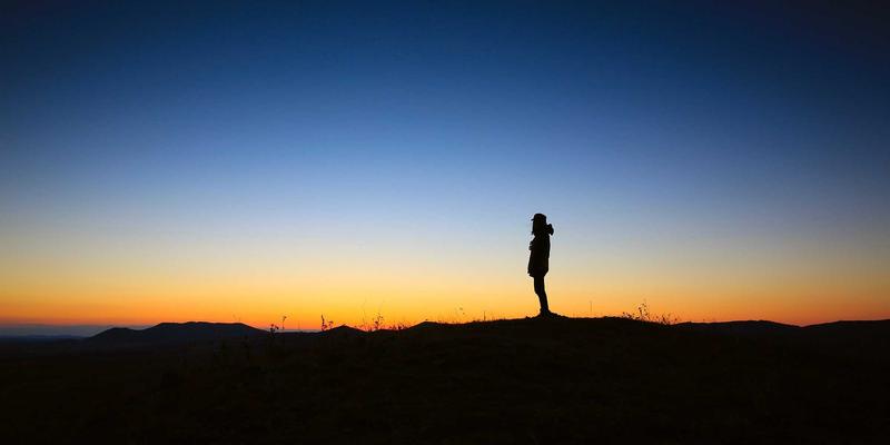 书画53：解码书法艺术与收藏的永恒魅力