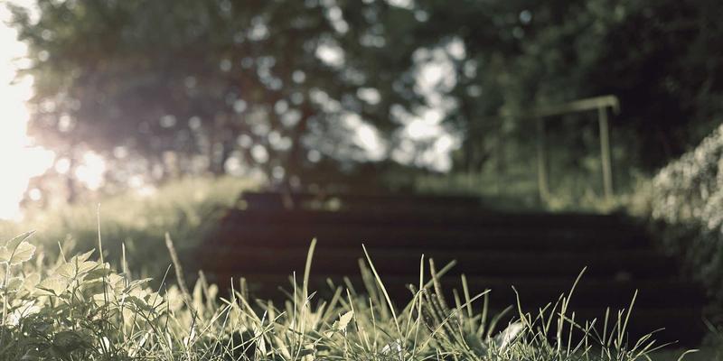 书画64：解码水墨艺术与当代艺术品交易的新浪潮