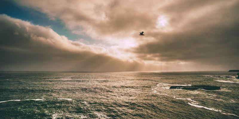 书画70：艺术品交易与收藏的新时代机遇与策略