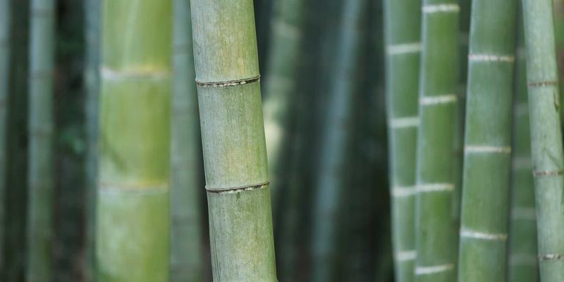 书画75：中国画的艺术价值、交易市场与展览新生态