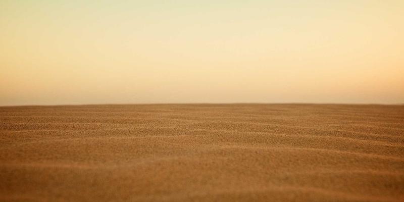 书画77：解码中国画艺术品交易的新趋势与收藏智慧