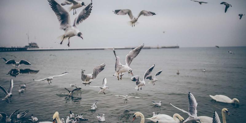 书画79：艺术展览与交易的双重奏，探索当代书画的价值新维度