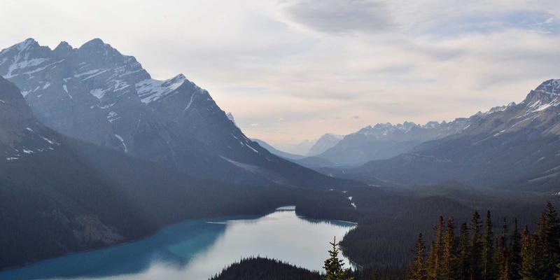 书画86：解码中国画收藏与艺术品交易的新时代密码