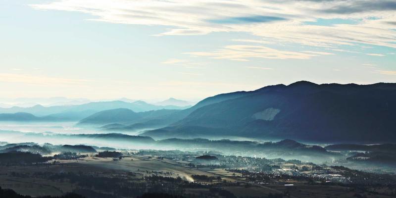 书画88：水墨丹青的艺术价值与市场新生态