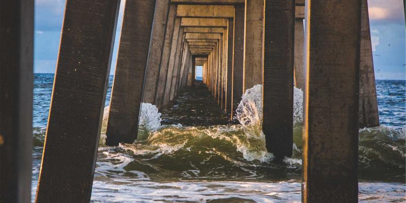 书画投资新蓝海：中青年艺术家国画作品的价值洼地与收藏时机深度解析