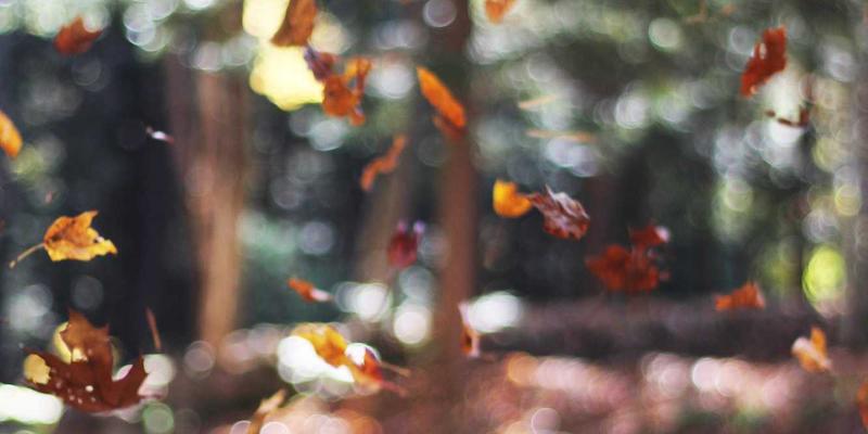 书画艺术教育新路径：从少儿国画启蒙到成人修身养性课程设计