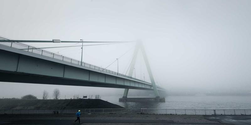 书画艺术鉴赏与创作最佳实践：从笔墨技法到展览呈现的完整指南