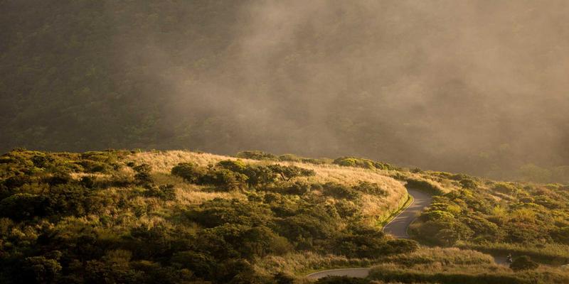 书画装裱与修复技艺：守护水墨画千年墨韵的艺术展览与收藏之道