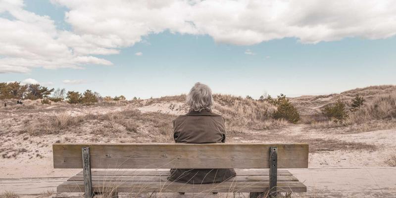 国画与书法艺术展览策划要点：打造沉浸式观展体验的三大核心策略