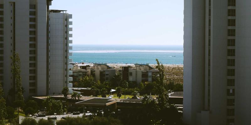 国画、书画与水墨画：东方美学的千年传承与当代价值