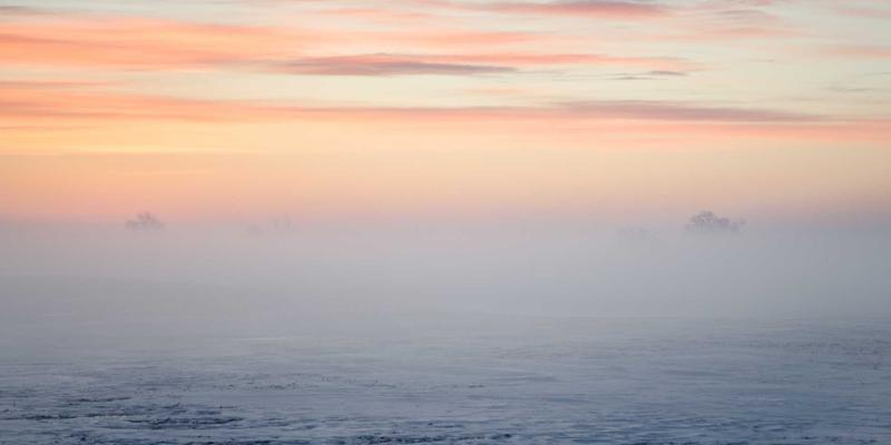 国画、书画与水墨画：传统艺术在数字时代的新前景