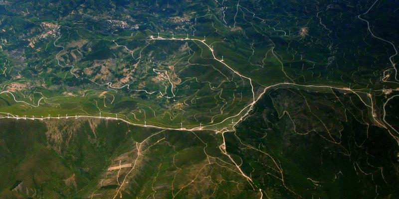 国画艺术的双璧：岭南画派与海派书画的地域风格与艺术魅力