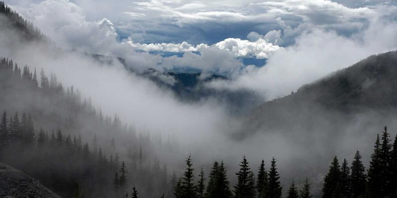 墨韵生辉：如何运用书法与国画元素，打造新中式美学空间