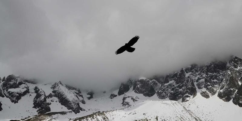 师古与出新：国画与书法学习中临摹到创作的辩证之道