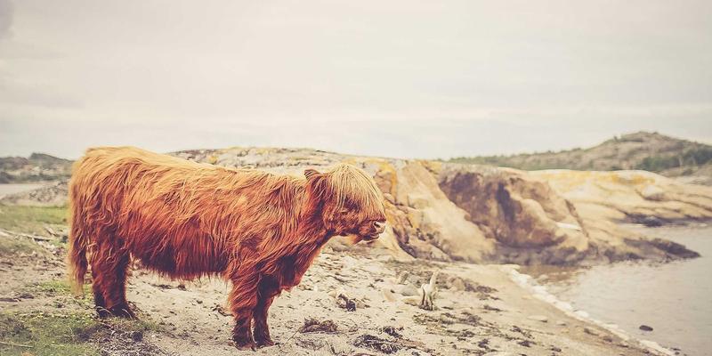 水墨画与书法启蒙：三大少儿书画教育方法，培养审美与创造力的黄金途径